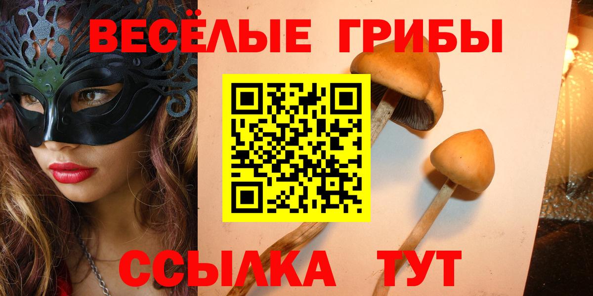 Галлюциногенные грибы MAGIC MUSHROOMS Белогорск