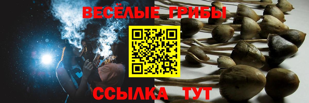 Галлюциногенные грибы мицелий  Вход с VPN  Белогорск  Псилоцибиновые грибы MAGIC MUSHROOMS 